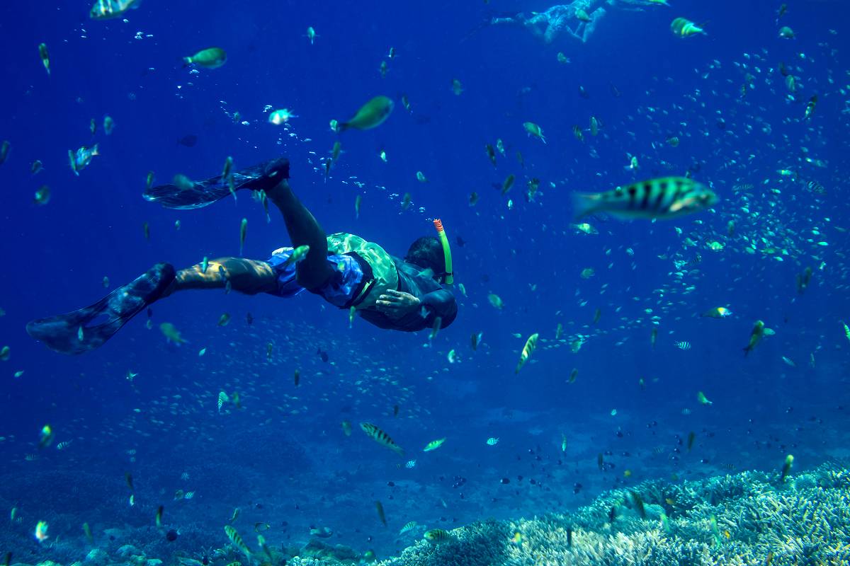 Relax and enjoy the apocalypse After an apocalypse, a sailor takes some time to dive a tropical reef