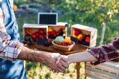 Bartering and Trade